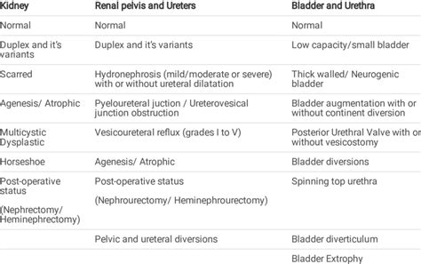 Description of the urological disorders represented in the software. | Download Scientific Diagram