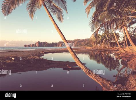 Serenity on the tropical beach Stock Photo - Alamy