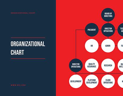 Organizational Organization Chart Projects :: Photos, videos, logos, illustrations and branding ...