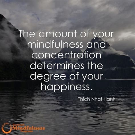 The amount of your mindfulness and concentration determines the degree of your happiness ...