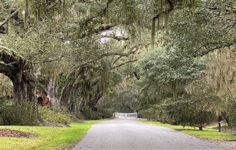 Inside Magnolia Plantation - South Carolina