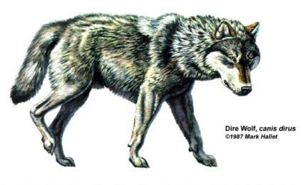 DIRE WOLF