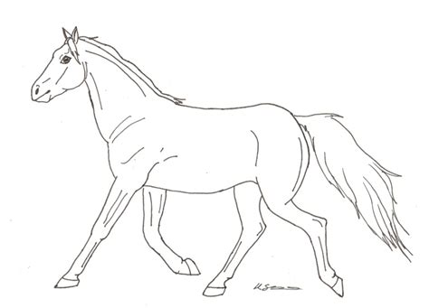 Free Horse Cartoon Drawing, Download Free Horse Cartoon Drawing png ...