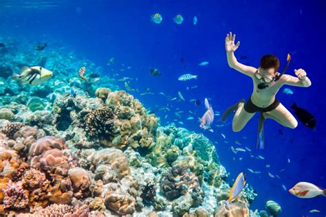 Excursión al Mar Rojo con Snorkel | ¡Vive la experiencia!