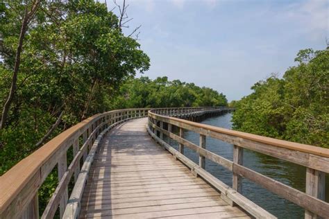 12 Best Hikes In Tampa You Shouldn't Miss - Florida Trippers