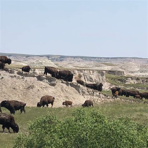 Best tent camping in Badlands National Park | The Dyrt