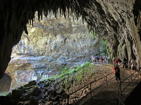 Camuy River Cave Park, Puerto Rico | Camuy, Puerto rico, Amazing nature