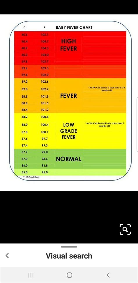 What Is Baby Fever Chart? - Free Sample, Example & Format Templates