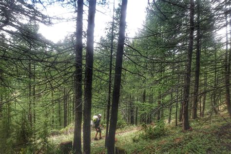 Hiking the Tour du Queyras - GR 58 - The Trek