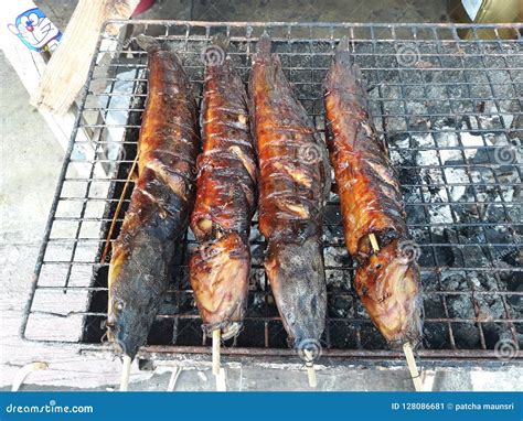 Grilled Catfish stock image. Image of catfish, grilled - 128086681