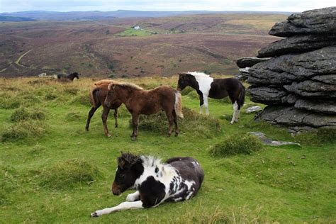 10 best hikes in Dartmoor National Park | Atlas & Boots