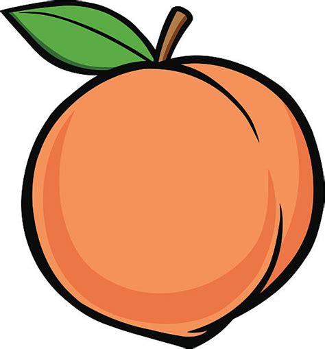 Royalty Free Georgia Peach Clip Art, Vector Images & Illustrations - iStock