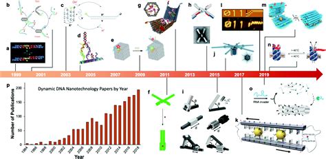 Dynamic DNA nanotechnology: toward functional nanoscale devices ...