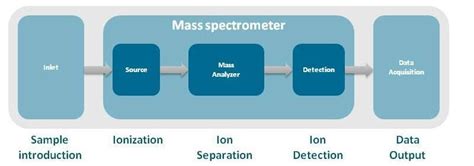 Mass spectrometry - Radboudumc