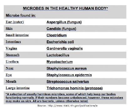 Disease Causing Micro-organisms — Safe Drinking Water Foundation