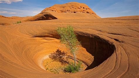 Rocky landscape, Dance Hall Rock, Grand Staircase-Escalante National ...