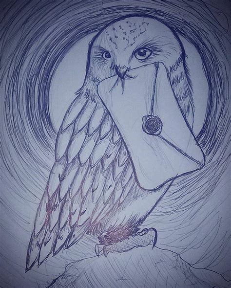 Harry Potter Hedwig Drawing at PaintingValley.com | Explore collection ...