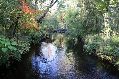 Rolling down the river by Kalabeth on DeviantArt