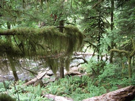 This Waterfall Campground Near Portland Is Unforgettable