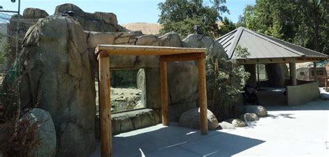 CALM Zoo - Big Cats Exhibit - Structural Engineering - KrechOjard