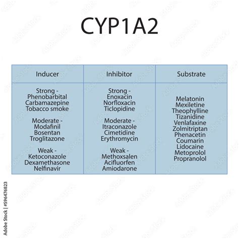 Grafika wektorowa Stock: Cytochrome CYP1A2 table of inhibitors ...