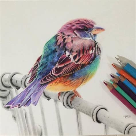 pdfa.club | Bird drawings, Color pencil art, Colorful drawings