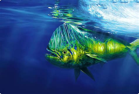 Mahi-mahi. Dolphin fish. Wall Art Canvas. Canvas Prints. Digital Art by ...