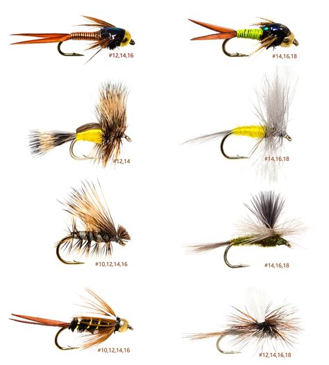 Buy Outdoor Planet Premium Fly Fishing Flies Assortment | Waterproof Fly Box | Dry, Wet, Nymphs ...