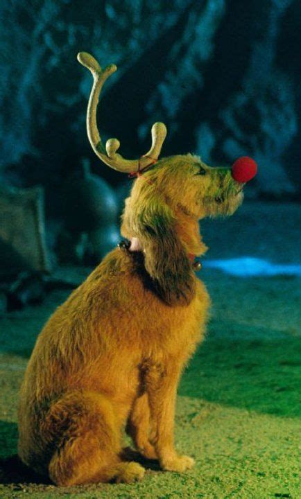 Pictures & Photos from How the Grinch Stole Christmas (2000) | Grinch costumes, The grinch dog ...