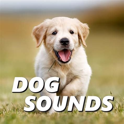 Barking Dogs Sounds by Dog Sounds on Amazon Music - Amazon.com