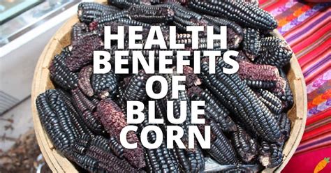 10 Potential Health Benefits Of Blue Corn