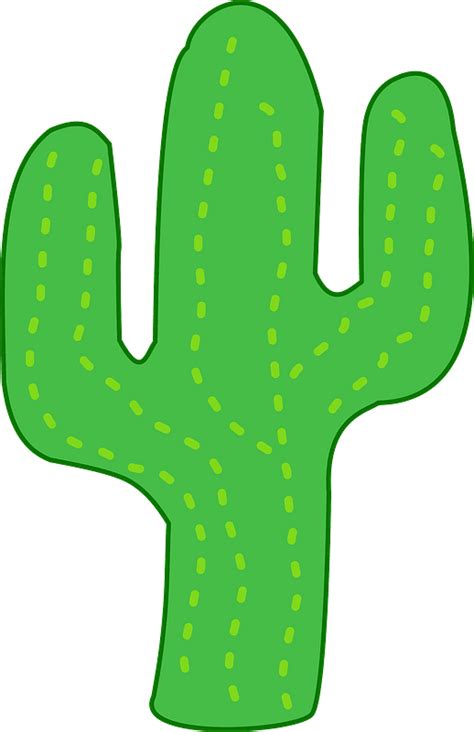 Cactus clipart. Free download transparent .PNG | Creazilla