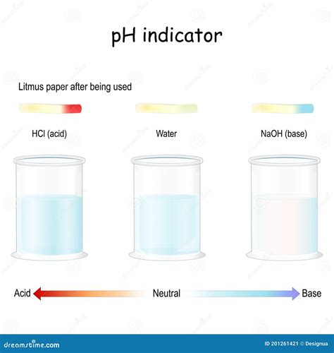 Litmus Paper after Being Used in Acid, Base and Fresh Water Stock ...