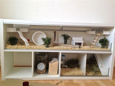 Proud of your hamsters cage - Page 727 - Supplies & Accessories | Hamster diy cage, Hamster cage ...