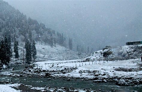 Fresh snowfall: Leh freezes, Gulmarg coldest in Kashmir