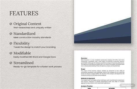 Business Analysis Plan Template in Pages, Word, Google Docs - Download ...