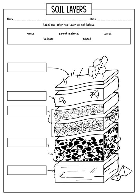 15 Best Images of Worksheets On Layers Of Soil - Soil Layers Worksheets for 3rd Grade, Free ...