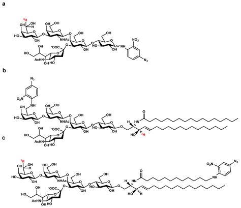 Biomedicines | Free Full-Text | Gangliosides and the Treatment of ...