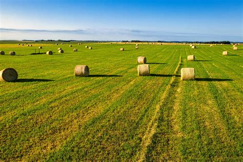 Hay Bales on the Green Grass Field · Free Stock Photo