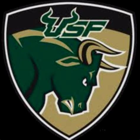 168 best Love my USF Bulls! images on Pinterest | South florida, Fan ...