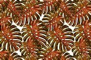 Tropical Leaves - Seamless Pattern | Graphic Patterns ~ Creative Market