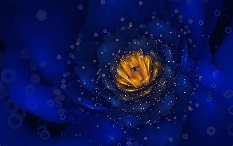 Blue Flower 4k Wallpaper | Flower