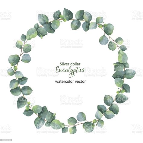 Watercolor vector round wreath with silver dollar eucalyptus. Healing... | Marcos para texto ...