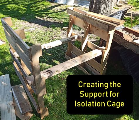 Building An Isolation Cage - AT HOME PETS