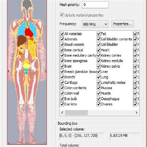 The model of human body that used in simulation | Download Scientific Diagram