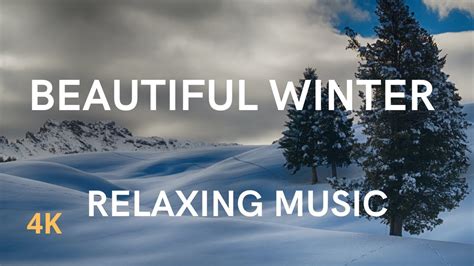 Winter Nature - Relaxation Music [4K] - YouTube