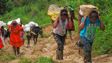 Desplazamiento forzado aumentó un 198% en Colombia | KienyKe