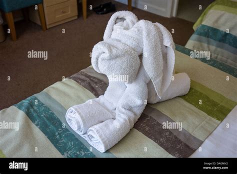 Towel dog hi-res stock photography and images - Alamy