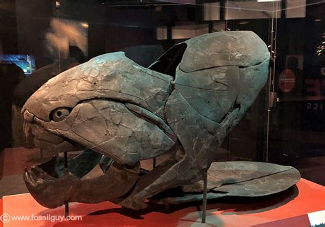 Dunkleosteus, One Of The Largest And Most Armored moпѕteгѕ, Was ...