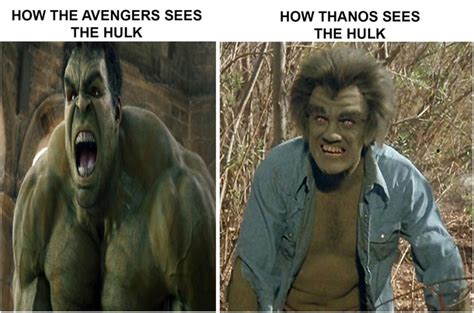 How The Avengers sees The Hulk vs How Thanos sees The Hulk - Meme Guy